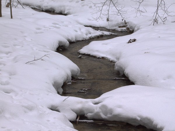 Весенний Ручеек