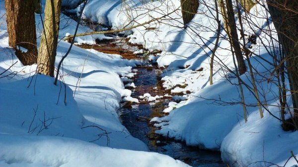 Дети пускают кораблики весной