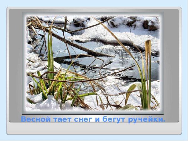 Романов Роман Геннадьевич