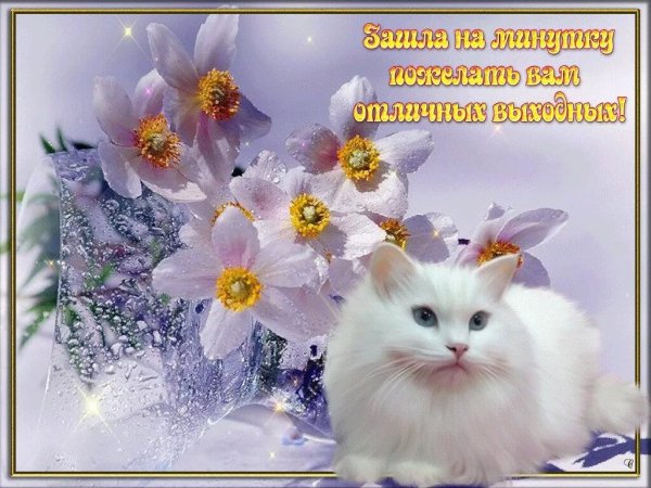 Замечательных выходных и прекрасного настроения