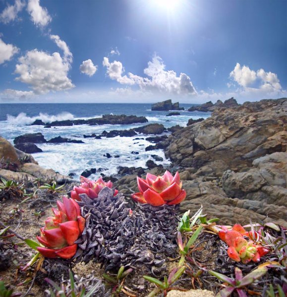 Весна на побережье