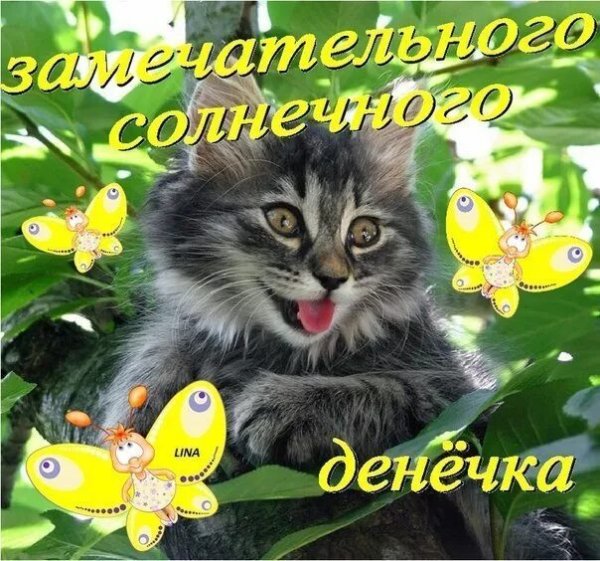 Весеннего настроения и отличной среды