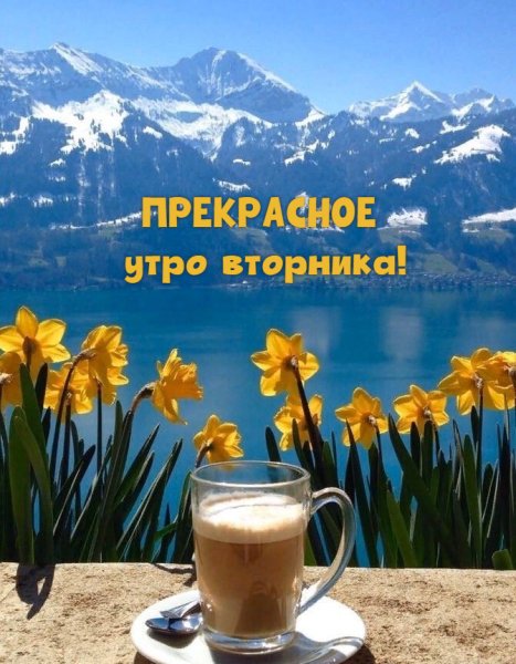 Доброго дня с наступлением весны