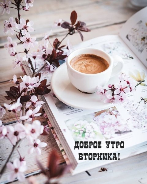 Доброе весенне утро субьоты