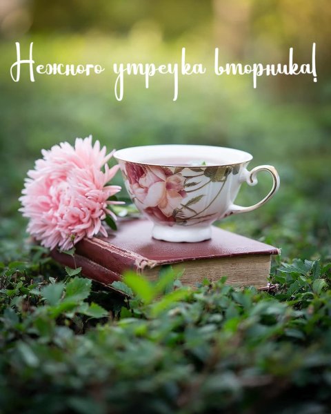 Доброе пятничное Весеннее утро