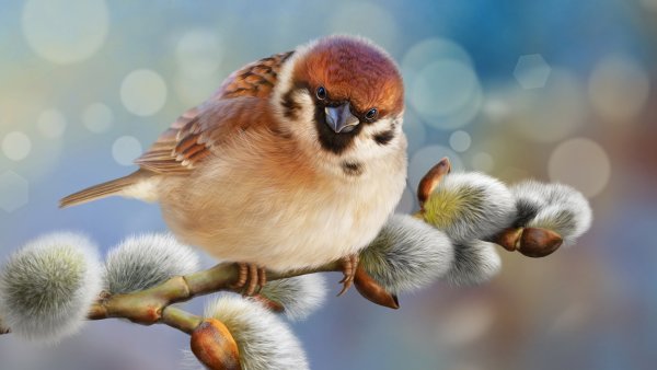 Две птички весной