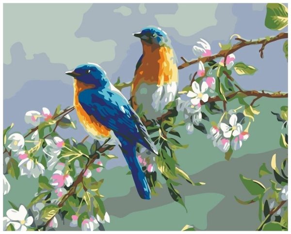 Цветы и птицы
