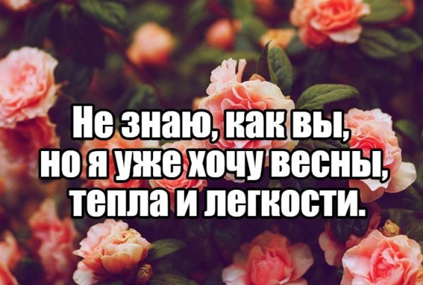 Хочется весны и тепла