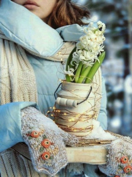 Рассвет зимой и сердце цветы