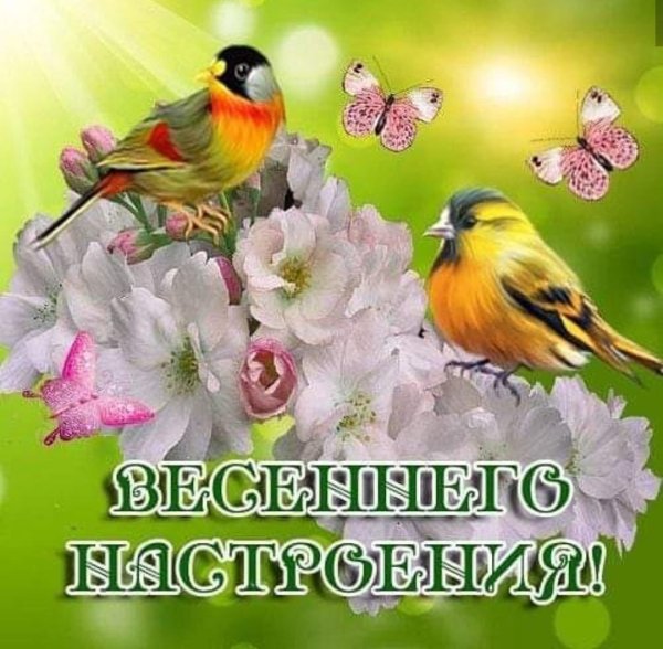 Поздравления с добрым весенним утром