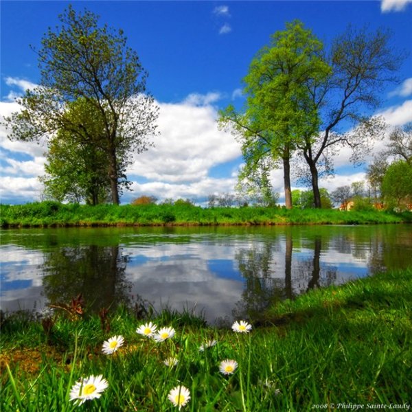 Природа Весна лето