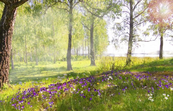 Май природа