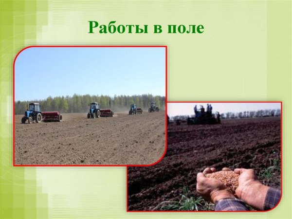 МТЗ 50 посевная