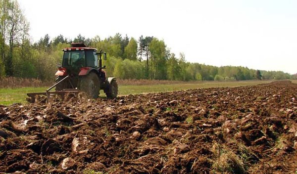 Рисунок на тему сельское хозяйство