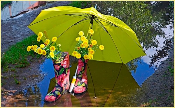 Для настроения в дождливый день