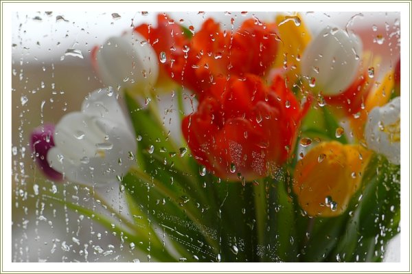 Доброе утро Весна дождь