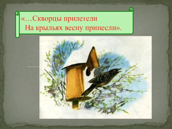 Птицы прилетели весну на крыльях принесли