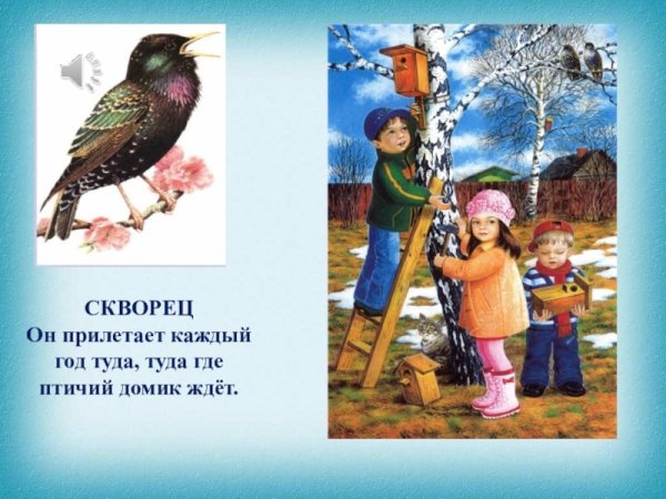 Презентация для детей птицы весной