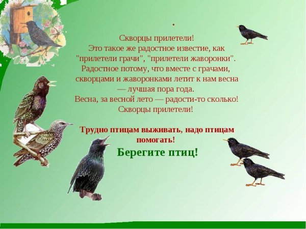 Картина скворцы прилетели художник