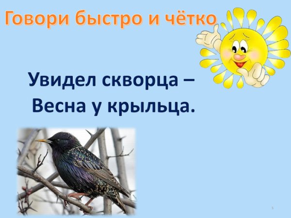 Скворец Скворушка скворечник