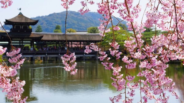 Телевизор Saturn led 19k 19"