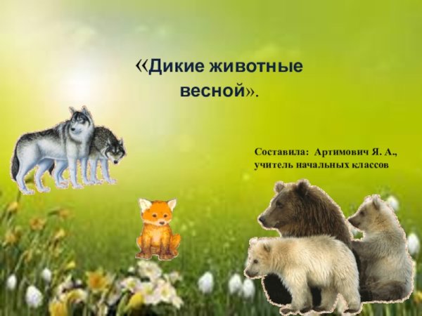 Детеныши диких животных для детей