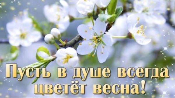 Пусть в вашей душе всегда цветет Весна