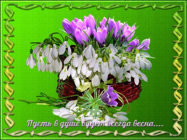 Пусть Весна