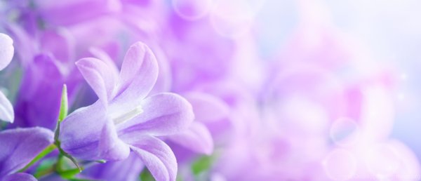 Пожелания весны в душе