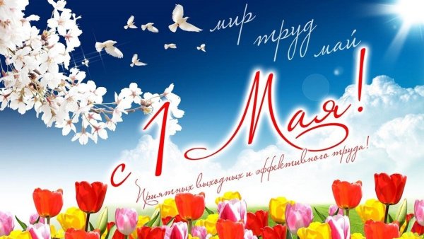 Мир труд май