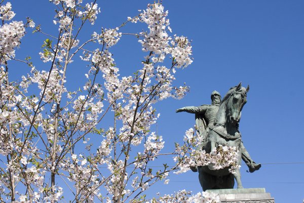Красивая Весна в Москве