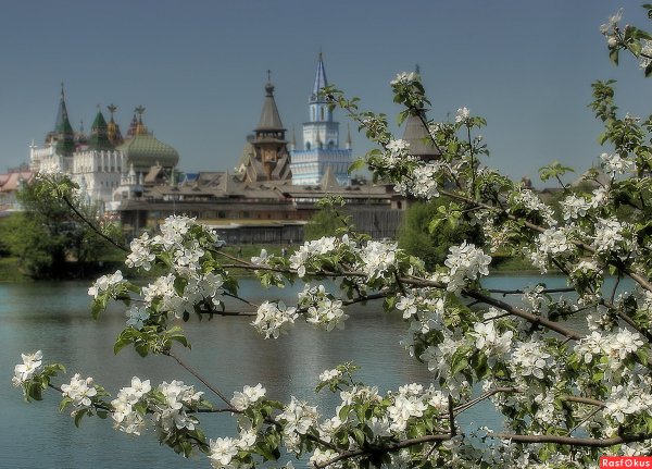 Измайловский парк Москва весной