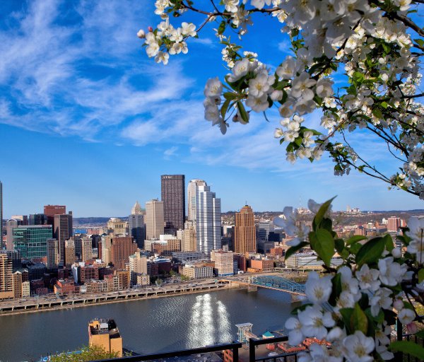 Природа штата Нью Йорк