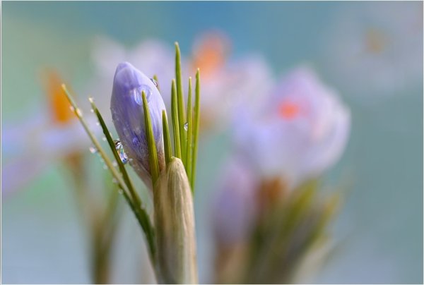 Картинки красивые ожидание весны (65 фото) » Картинки и статусы про  окружающий мир вокруг
