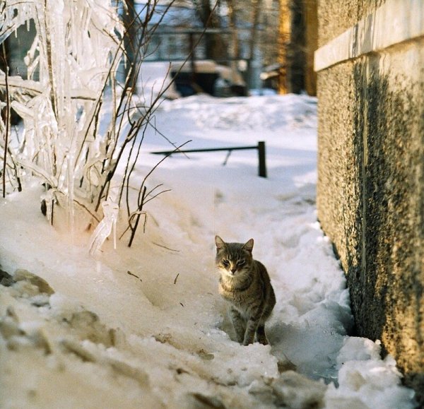 Из зимы в весну