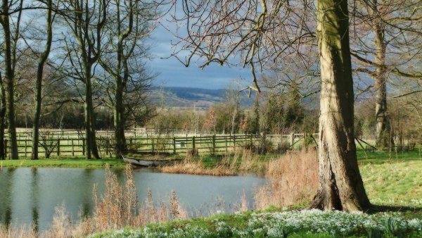 Природа ранней весной