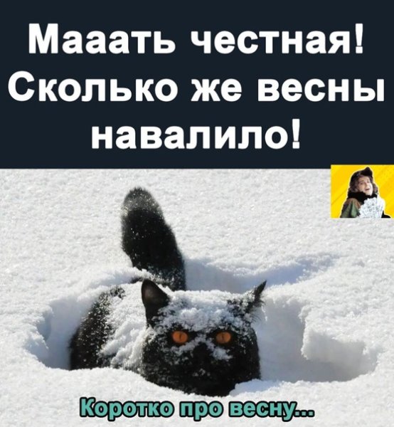 Картинки весны навалило с жирафом