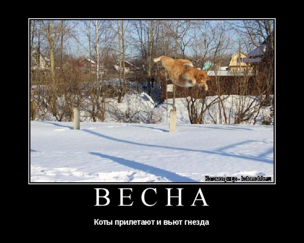 Юмор о запоздалой весне