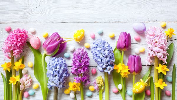 Весенние цветы стильные