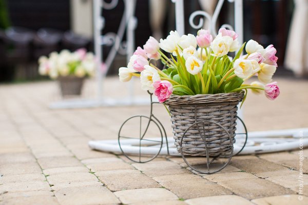 Велосипед с тюльпанами