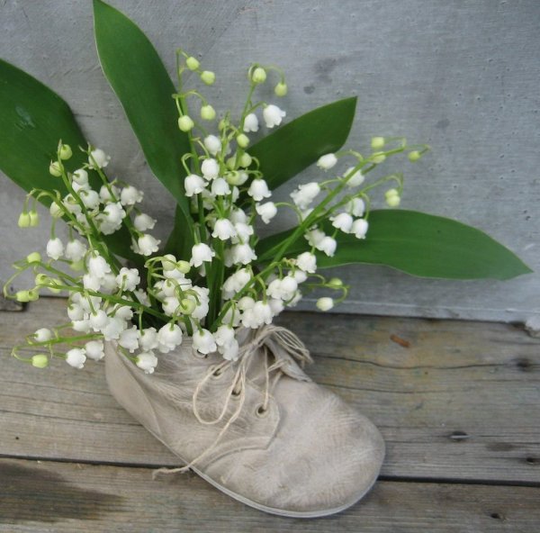 Фрея Ландыши