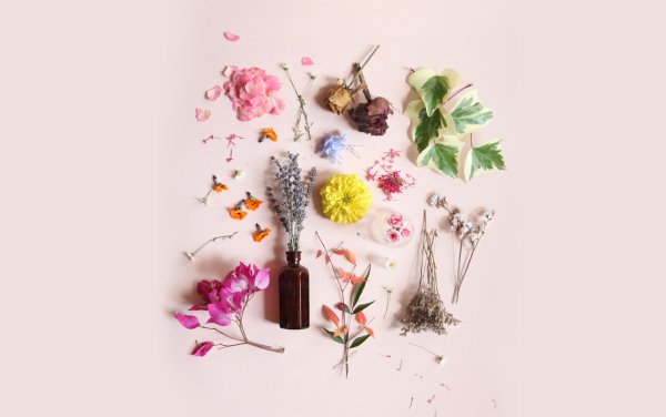 Весенние цветы Минимализм