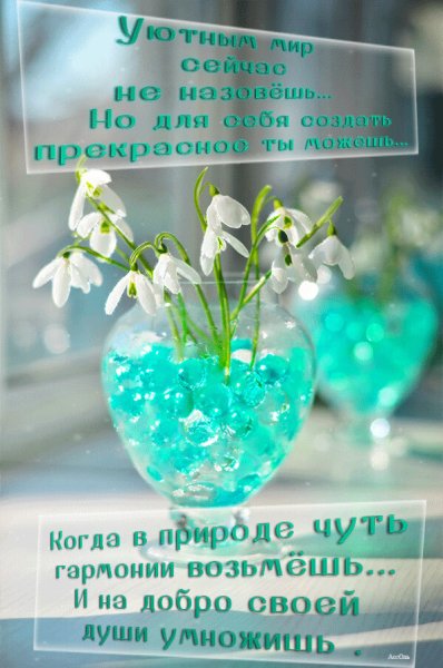 Пусть утро будет добрым а день удачным