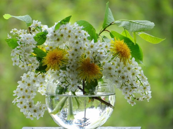 Чудесного утра