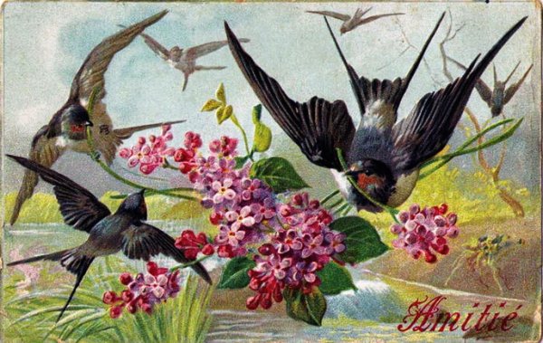 Ласточка с весною