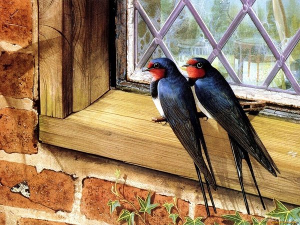 Птицы весной