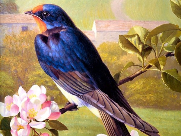 Художник Raymond Booth.