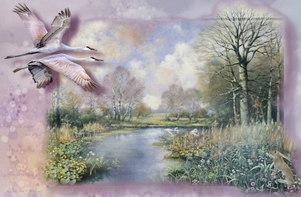 Музыкальный фон