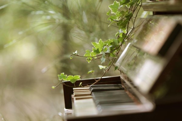 Симфония весны