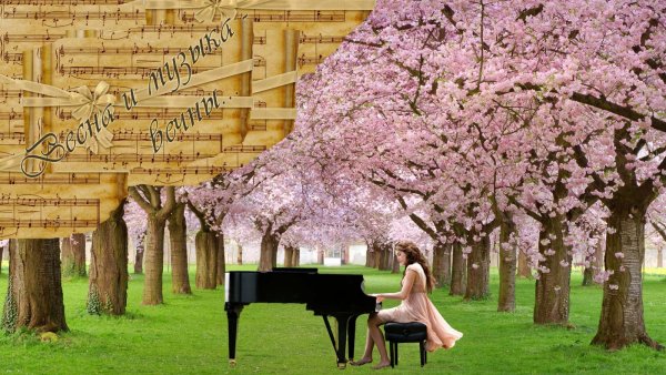 Музыкальная птица